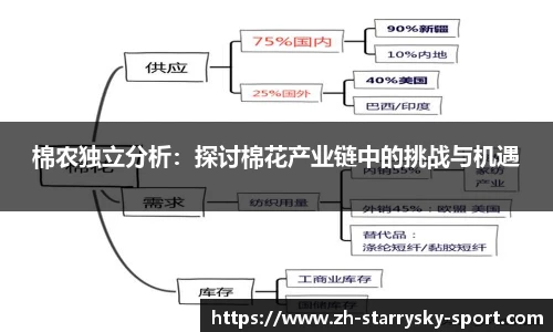棉农独立分析：探讨棉花产业链中的挑战与机遇